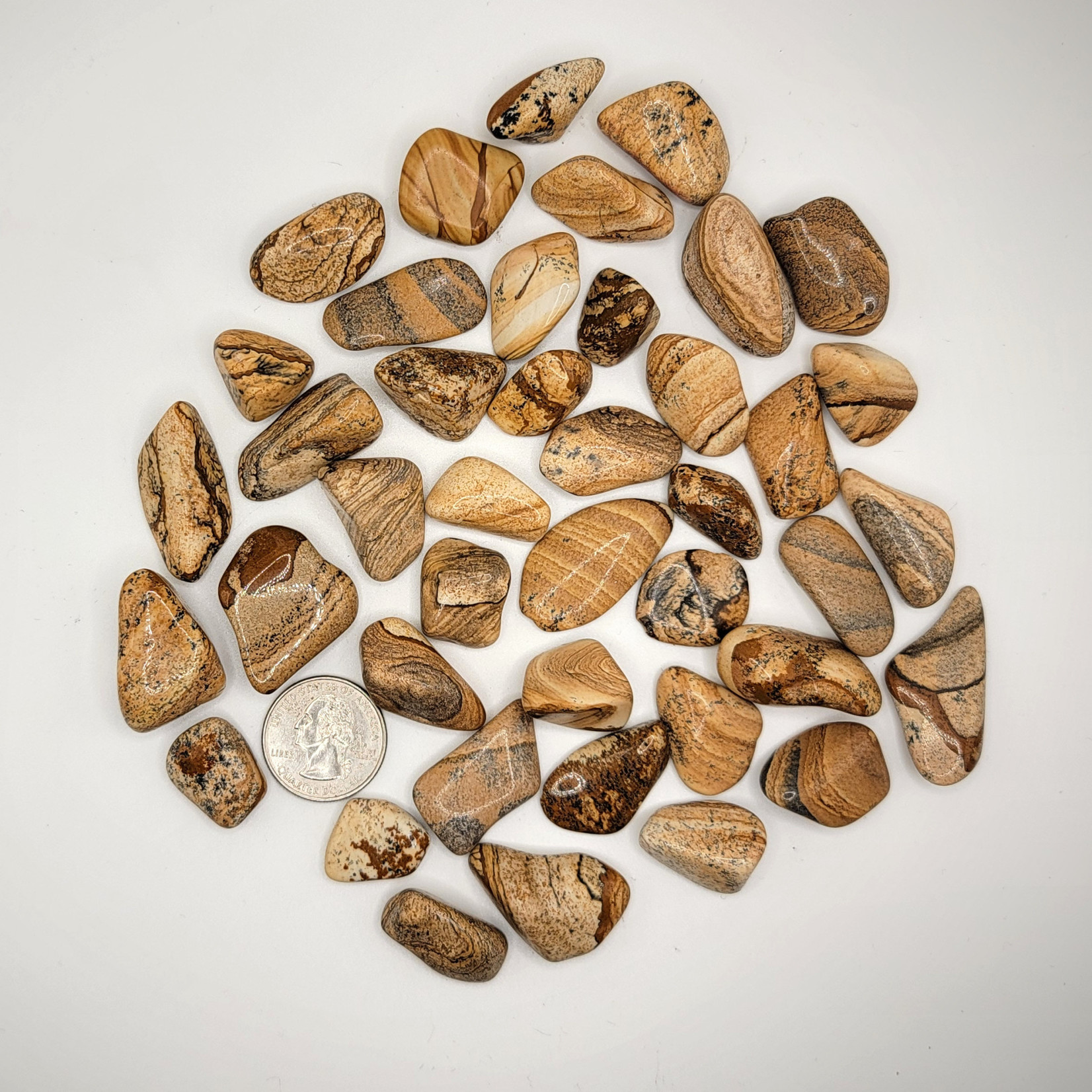 CP Picture Jasper