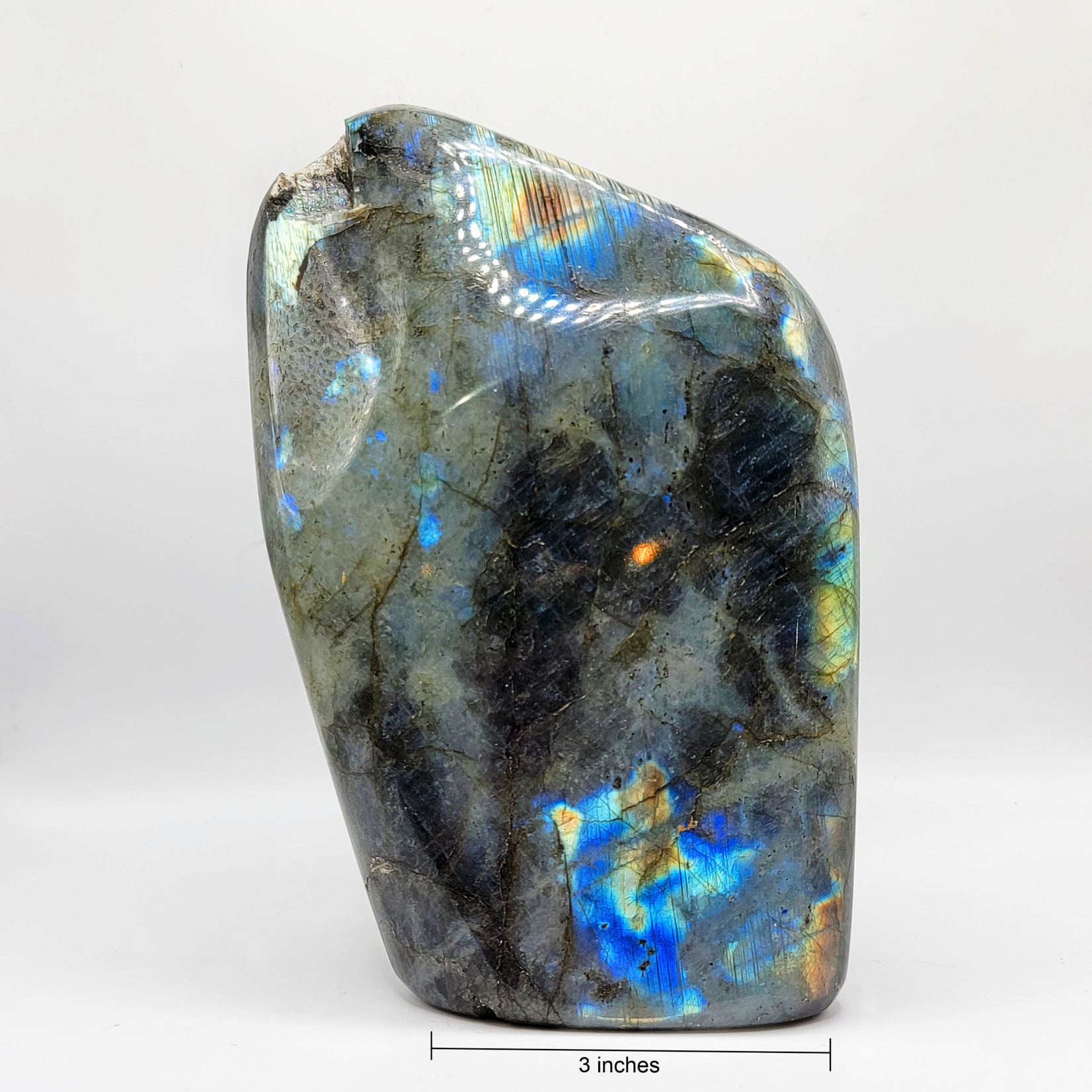 Labradorite Free Form Size 5, Chipped Discount