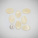 CP Bone Worry Stone