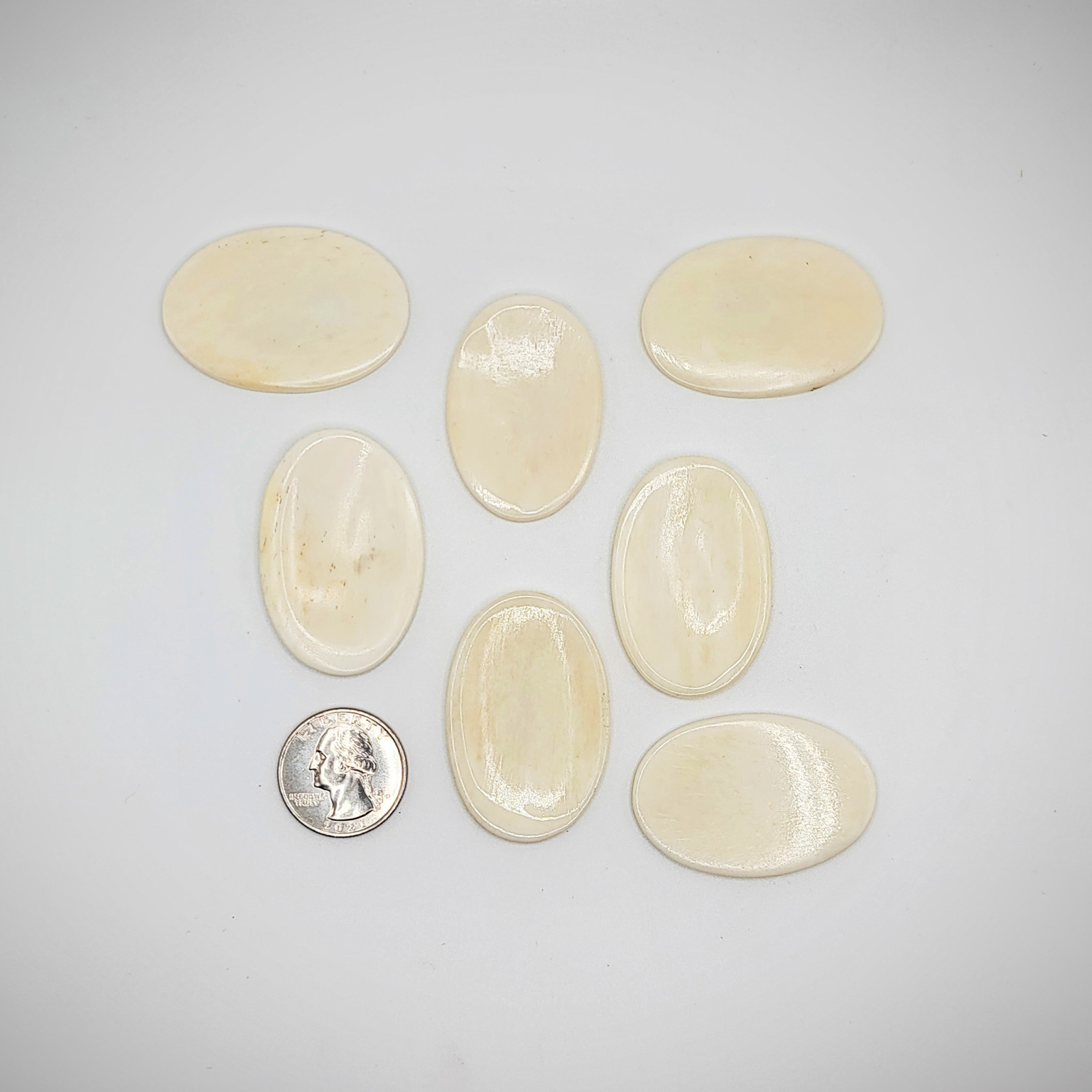 CP Bone Worry Stone