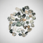 CP Tumbled Tree Agate