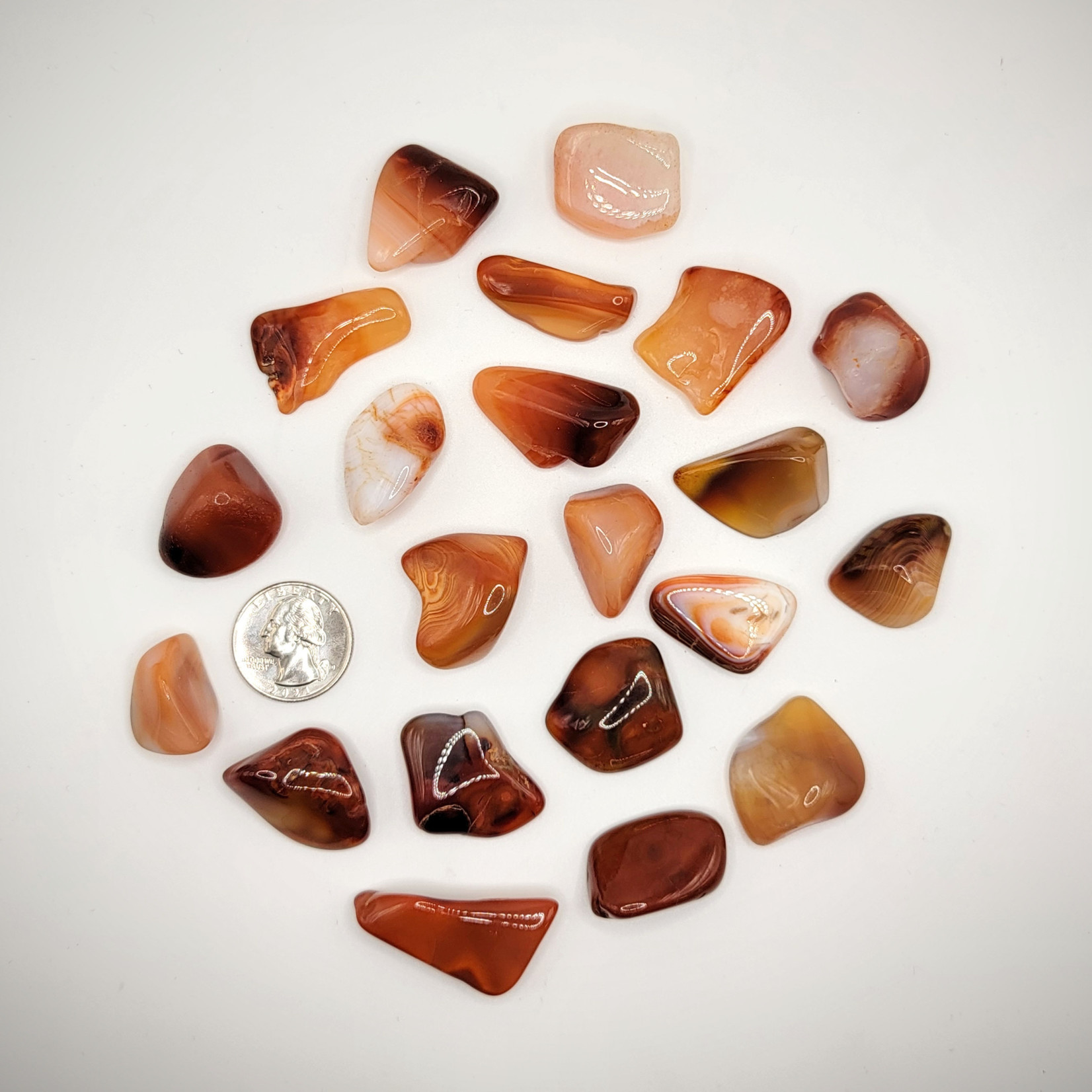 CP Carnelian