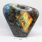 Labradorite Free Form Size 4 Shape 3