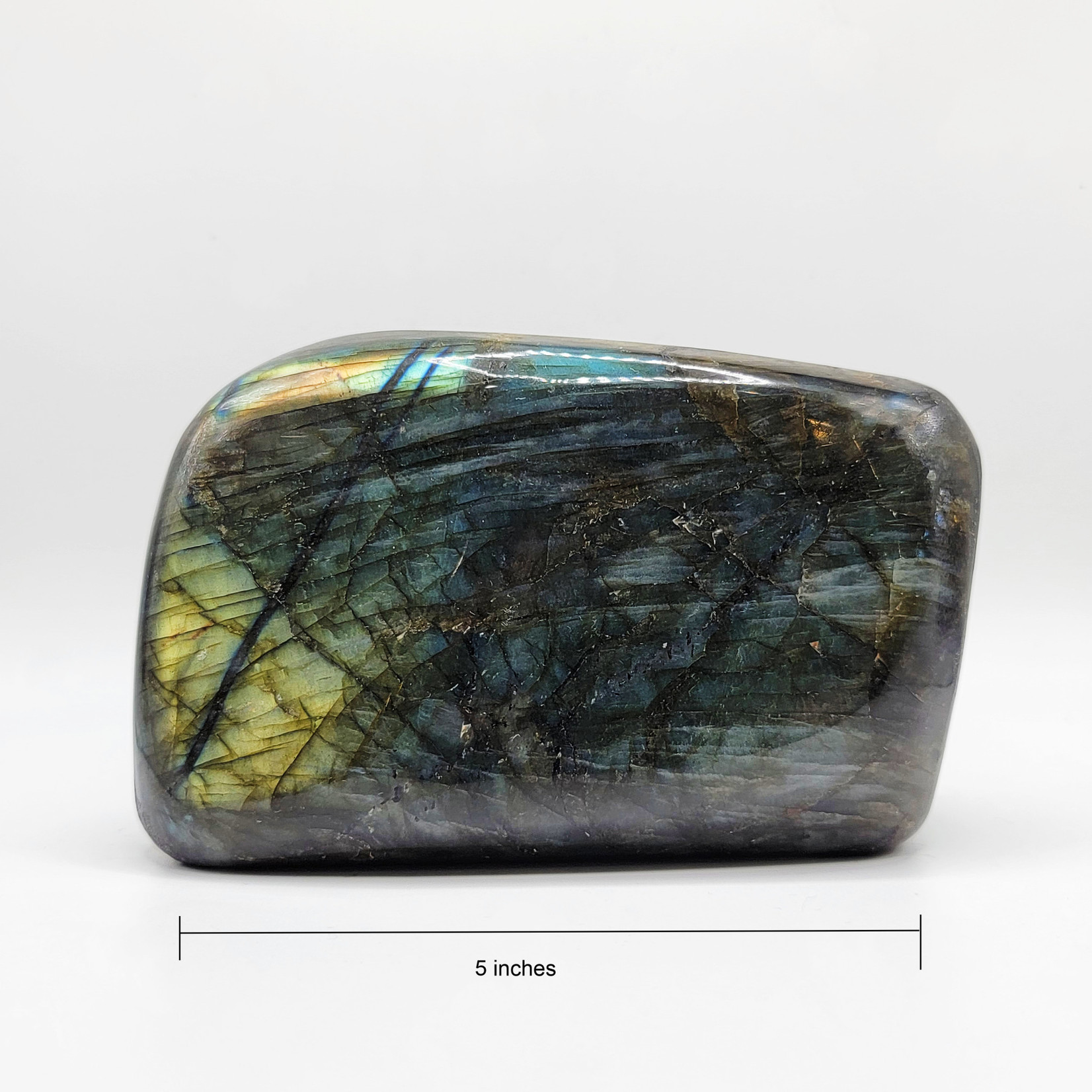 Labradorite Free Form Size 4 Shape 5