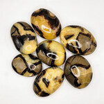 Septarian Gallets Medium