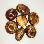 Petrified Wood Gallet 4.1- 5.6oz