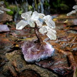 Quartz Point Tree on Amethyst Base