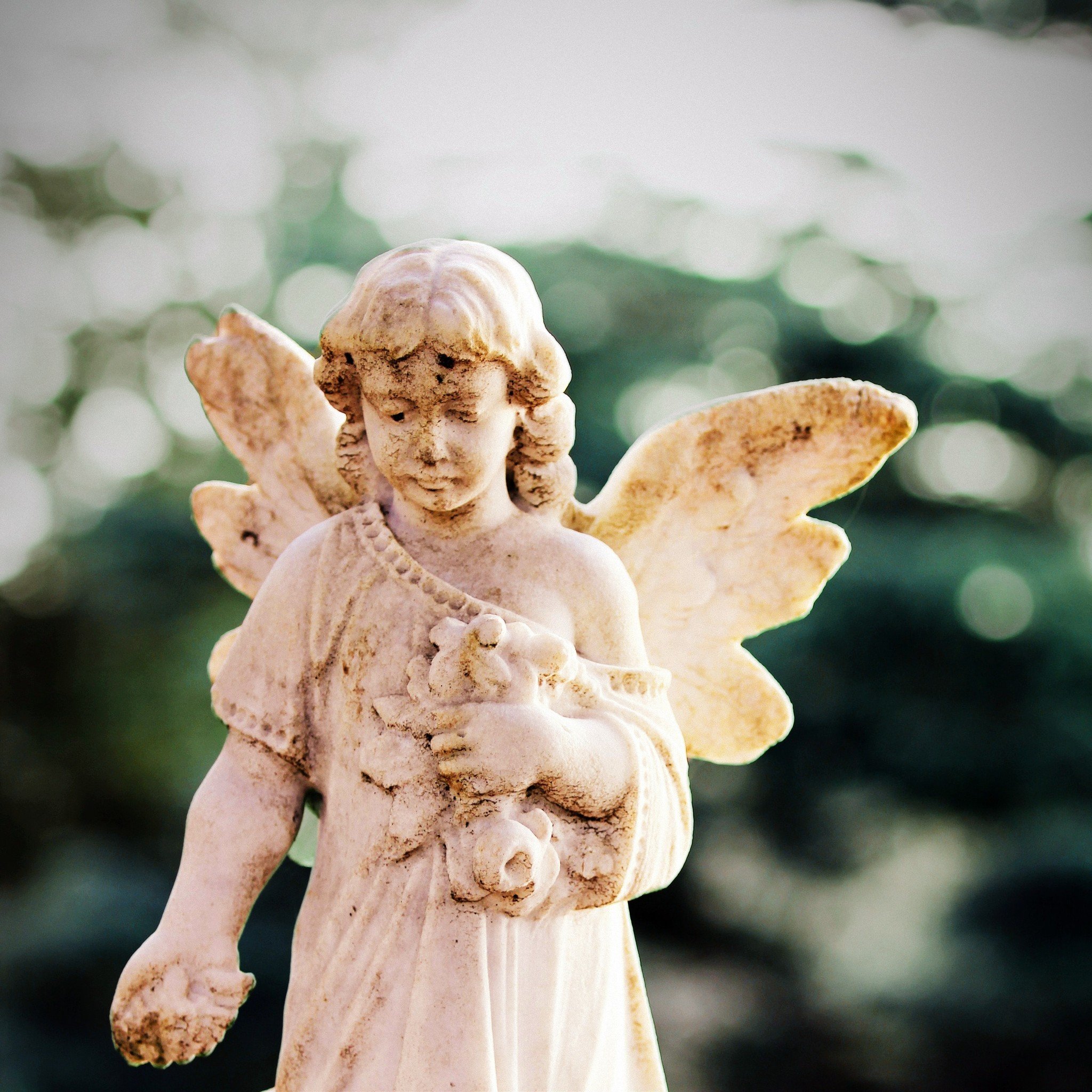 7 Steps To Connect With Your Angel Guides