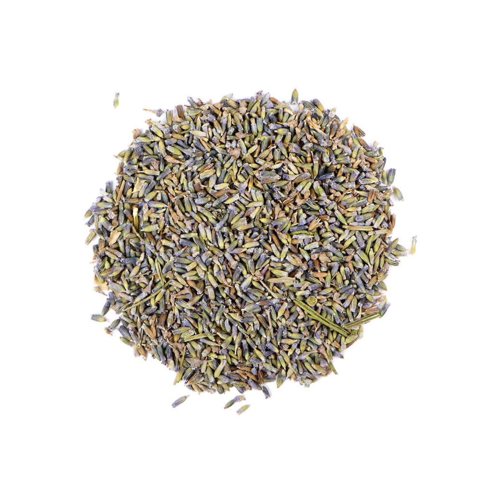 Herb Lavender Flower