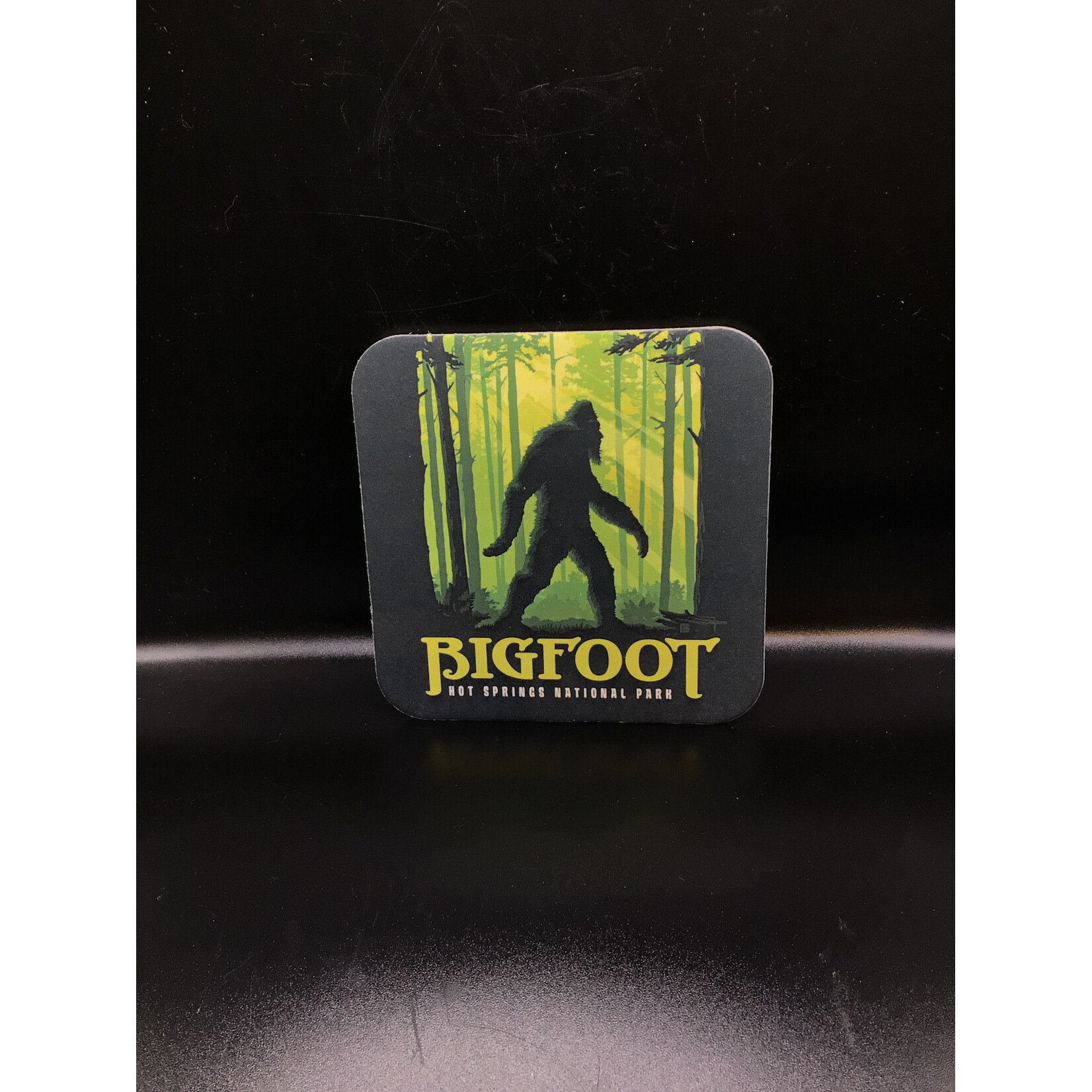 HSNP Bigfoot Coaster