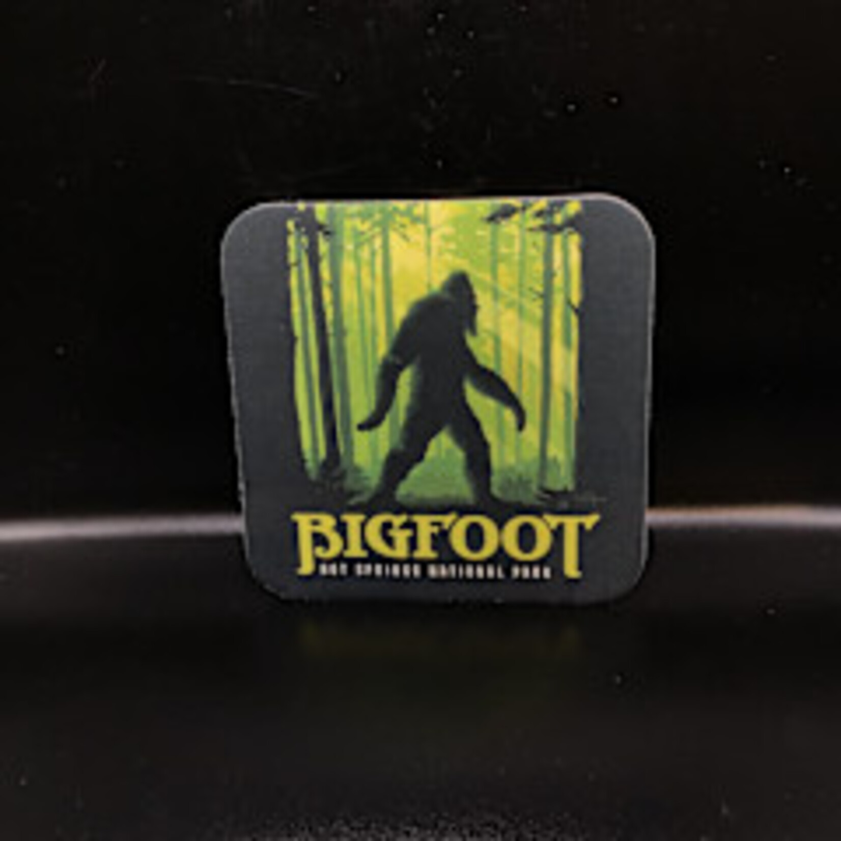 HSNP Bigfoot Coaster