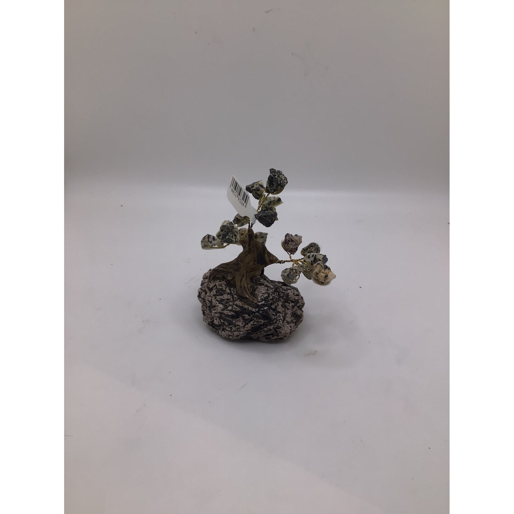 Mini Bonsai Tree Rough