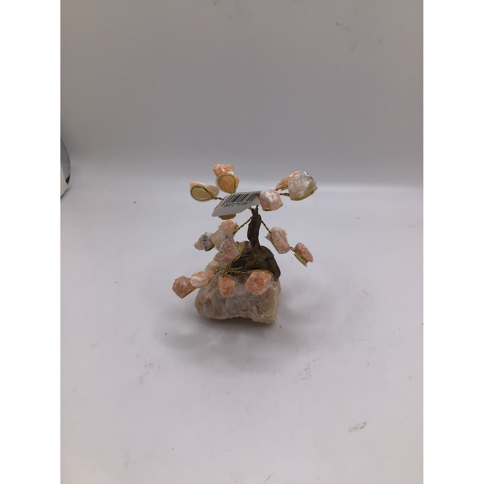 Mini Bonsai Tree Rough