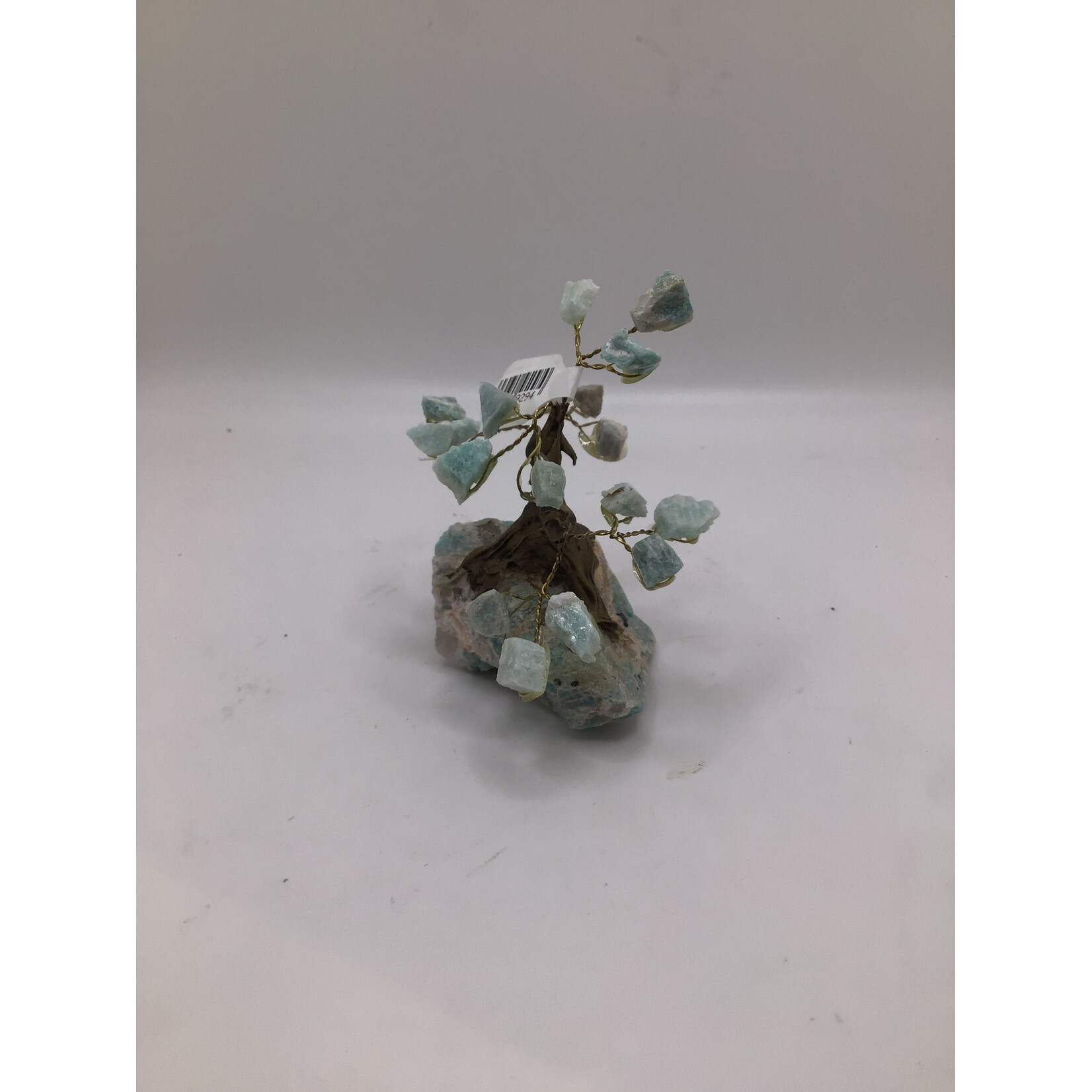 Mini Bonsai Tree Rough