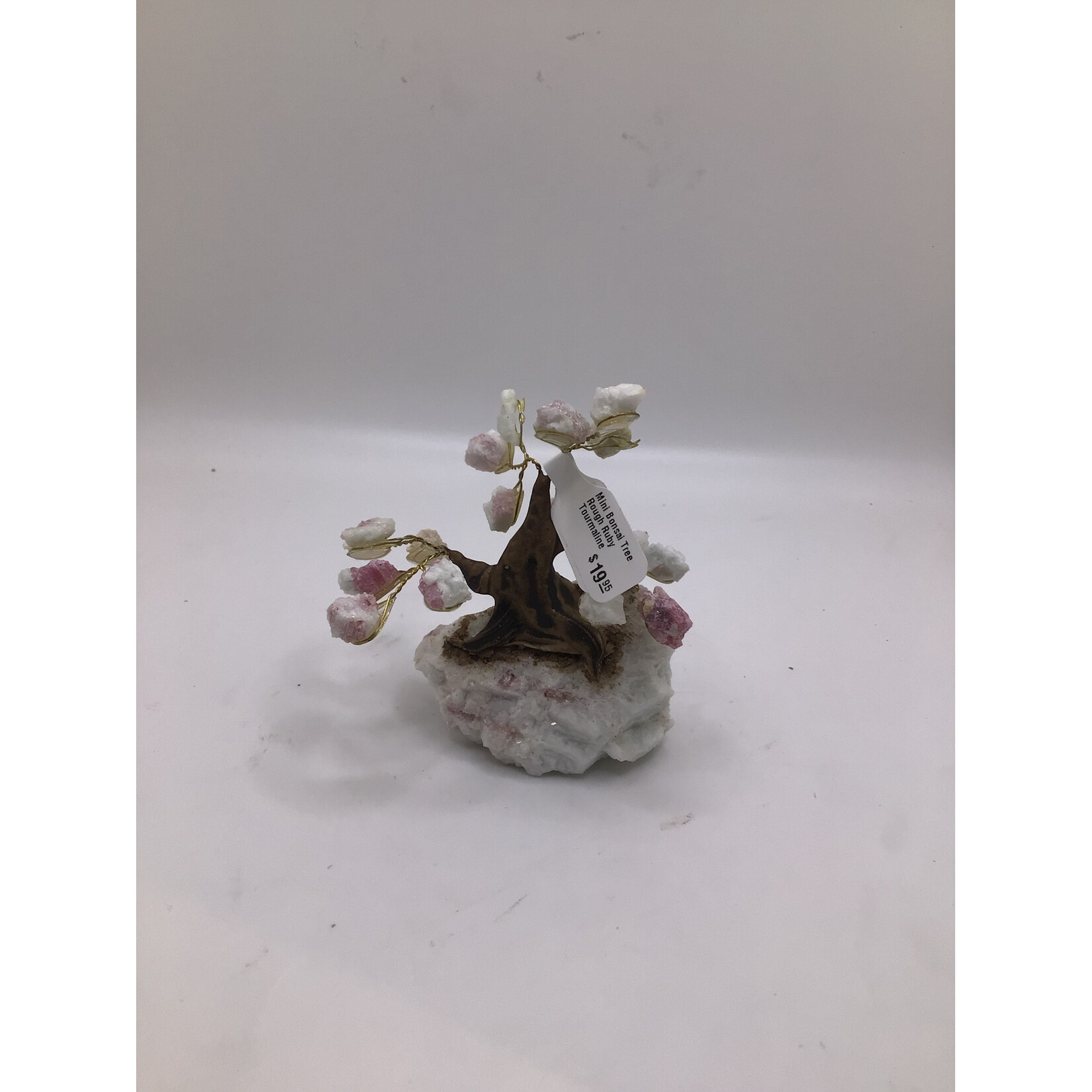 Mini Bonsai Tree Rough