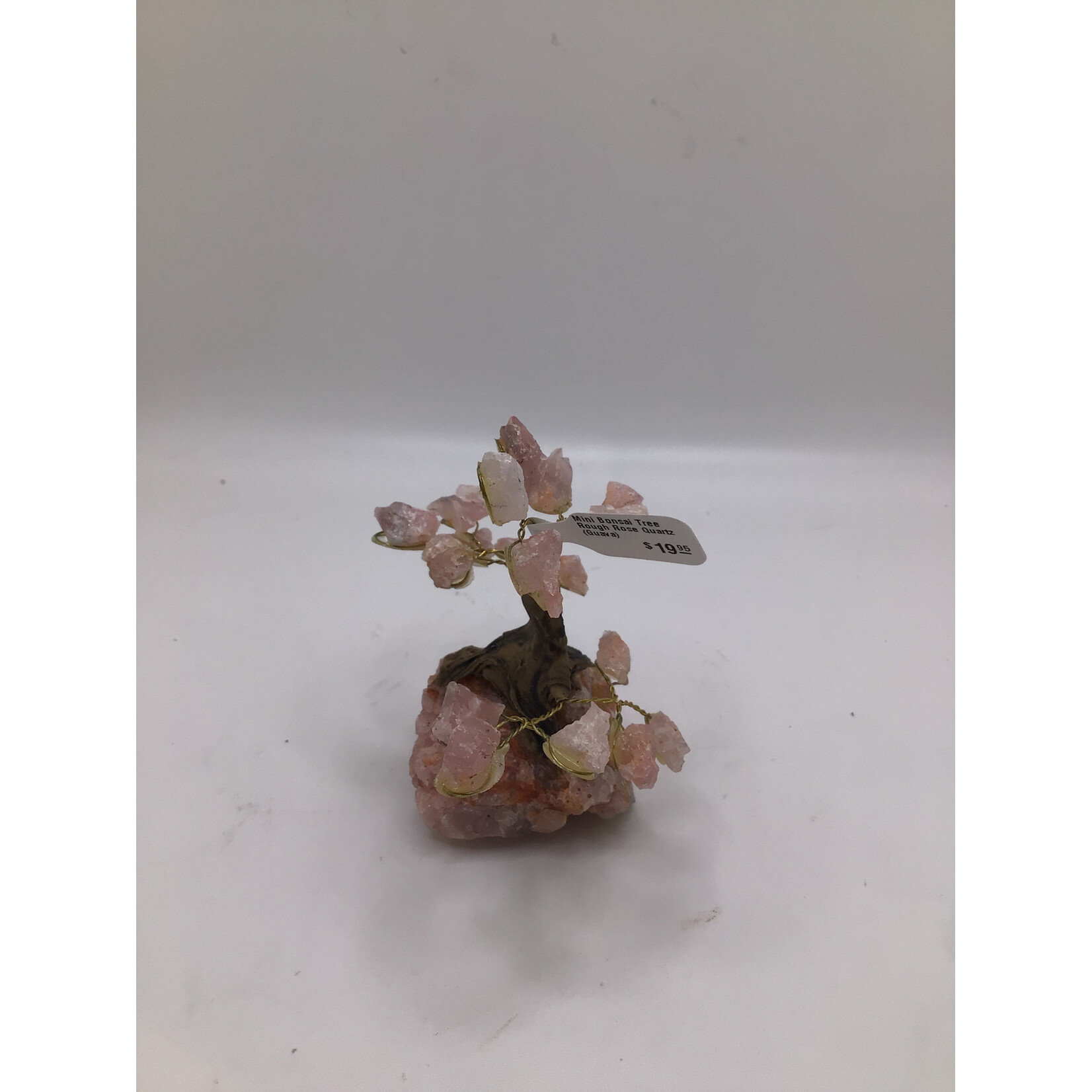 Mini Bonsai Tree Rough