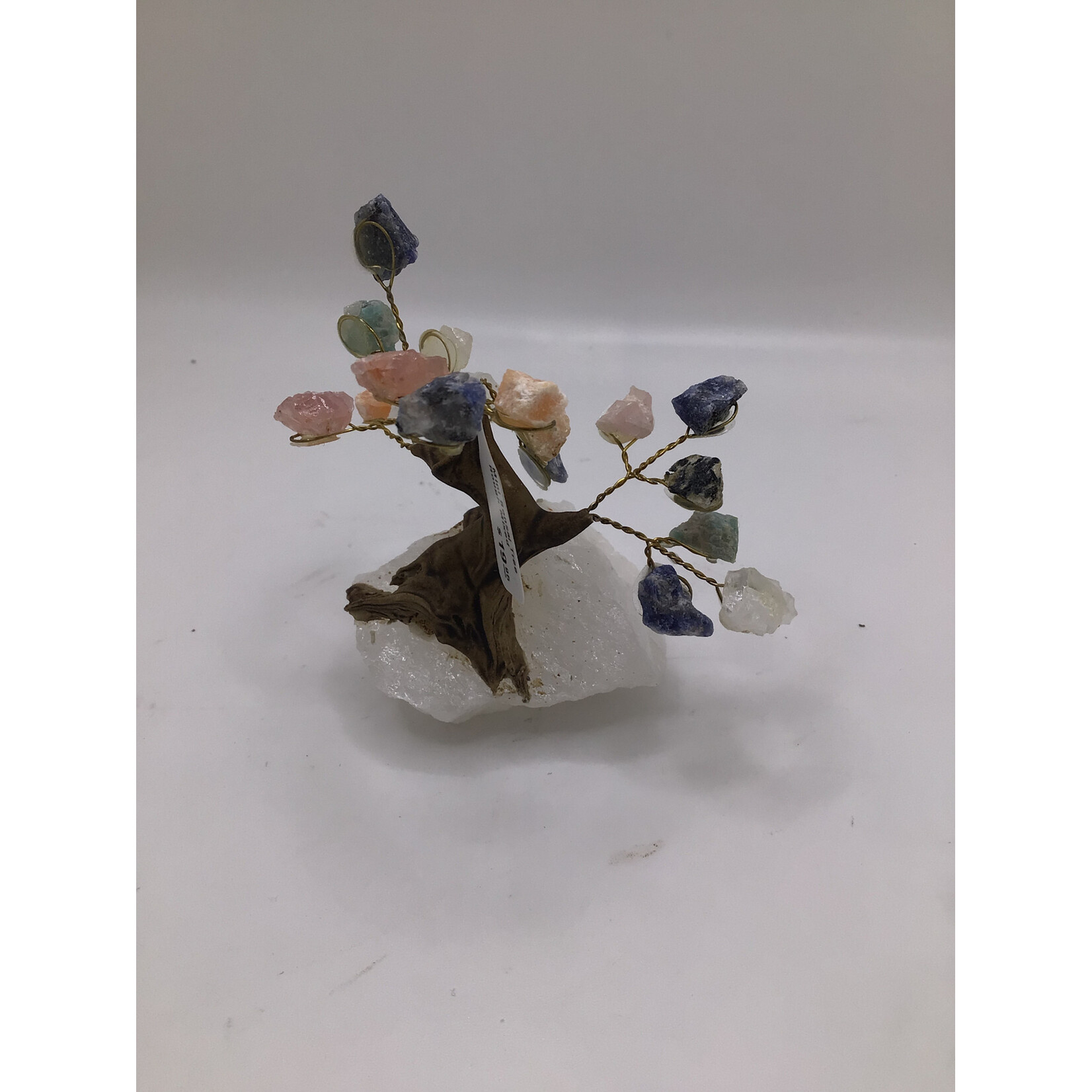 Mini Bonsai Tree Rough