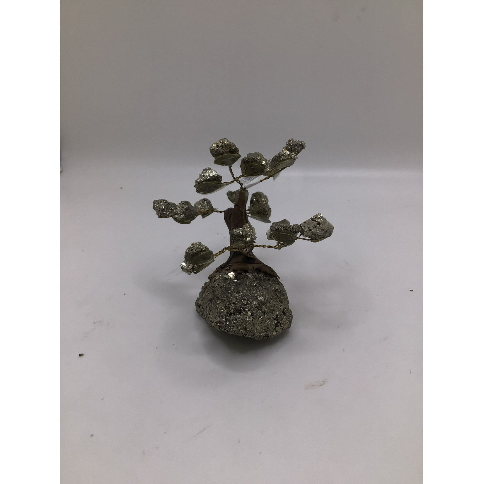 Mini Bonsai Tree Rough