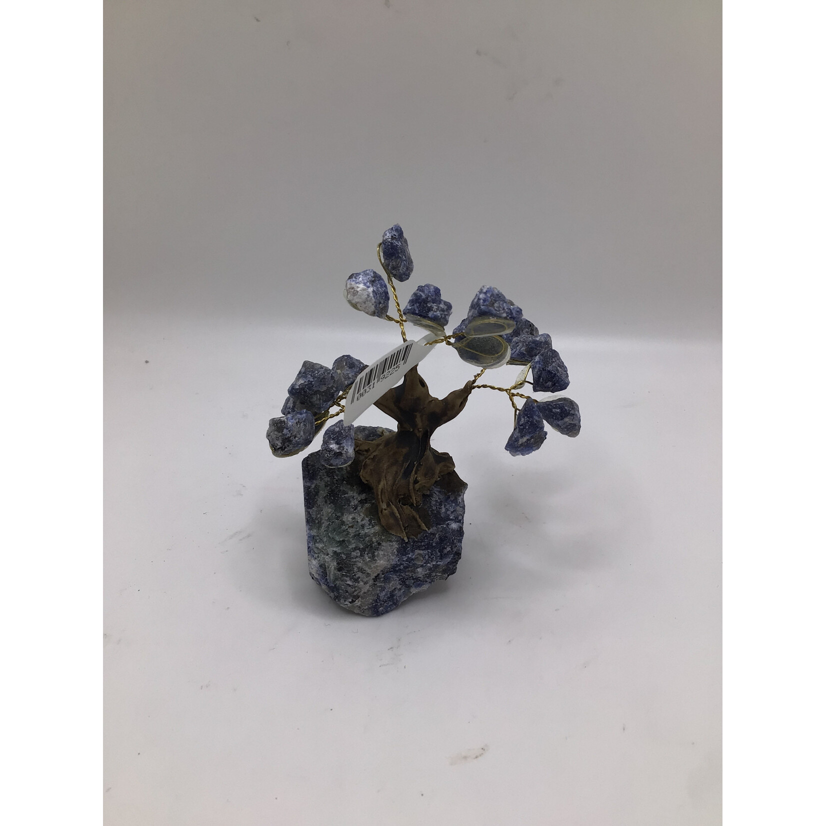Mini Bonsai Tree Rough