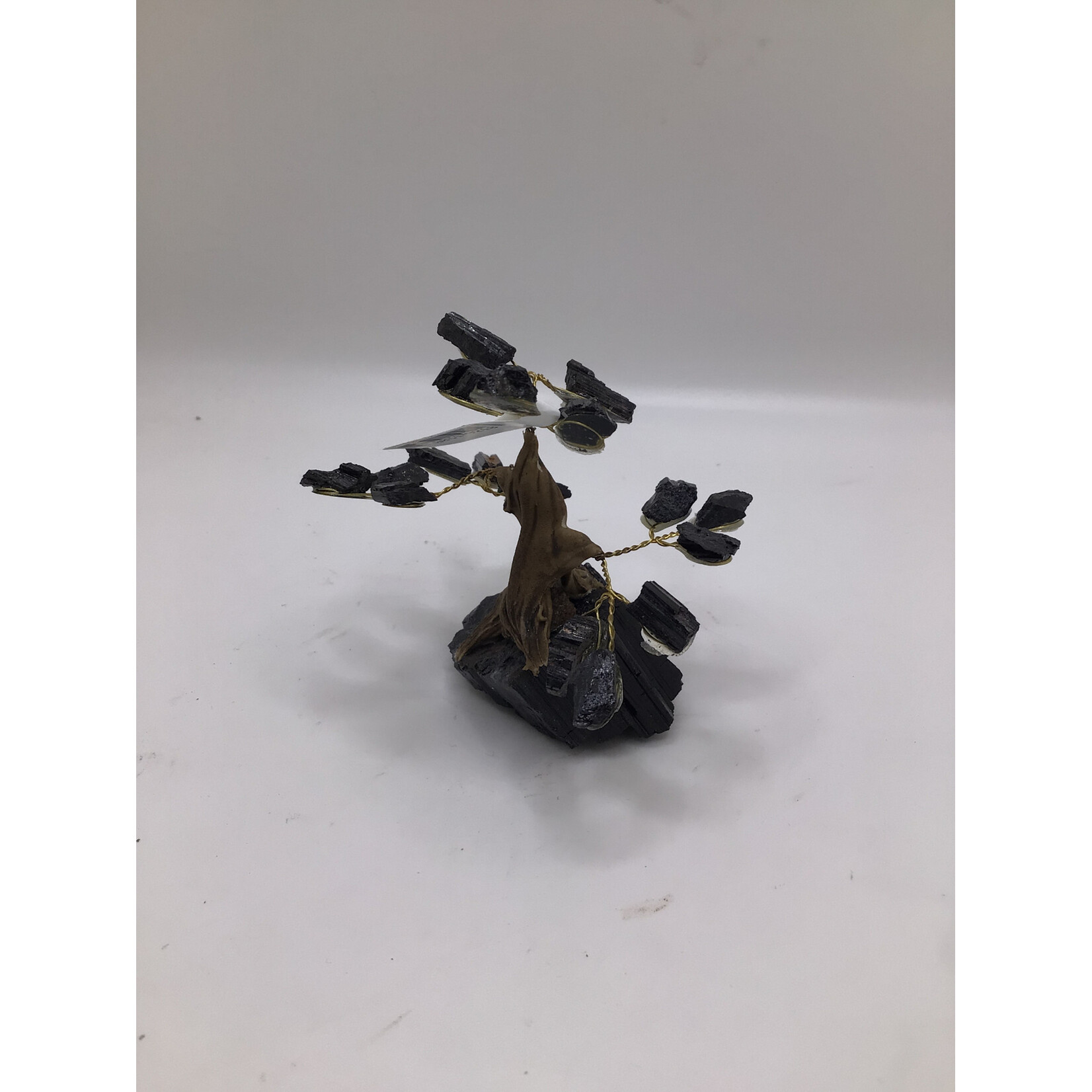 Mini Bonsai Tree Rough