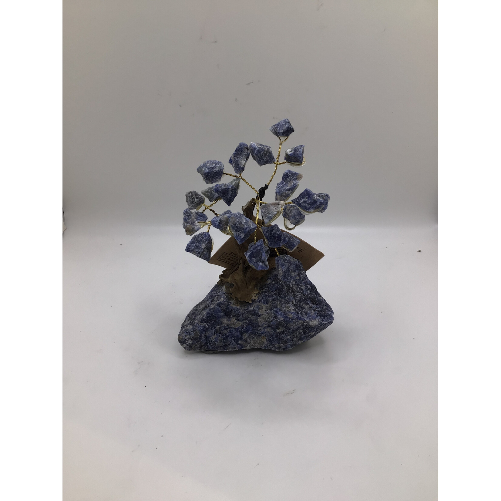 Small Bonsai Tree Rough