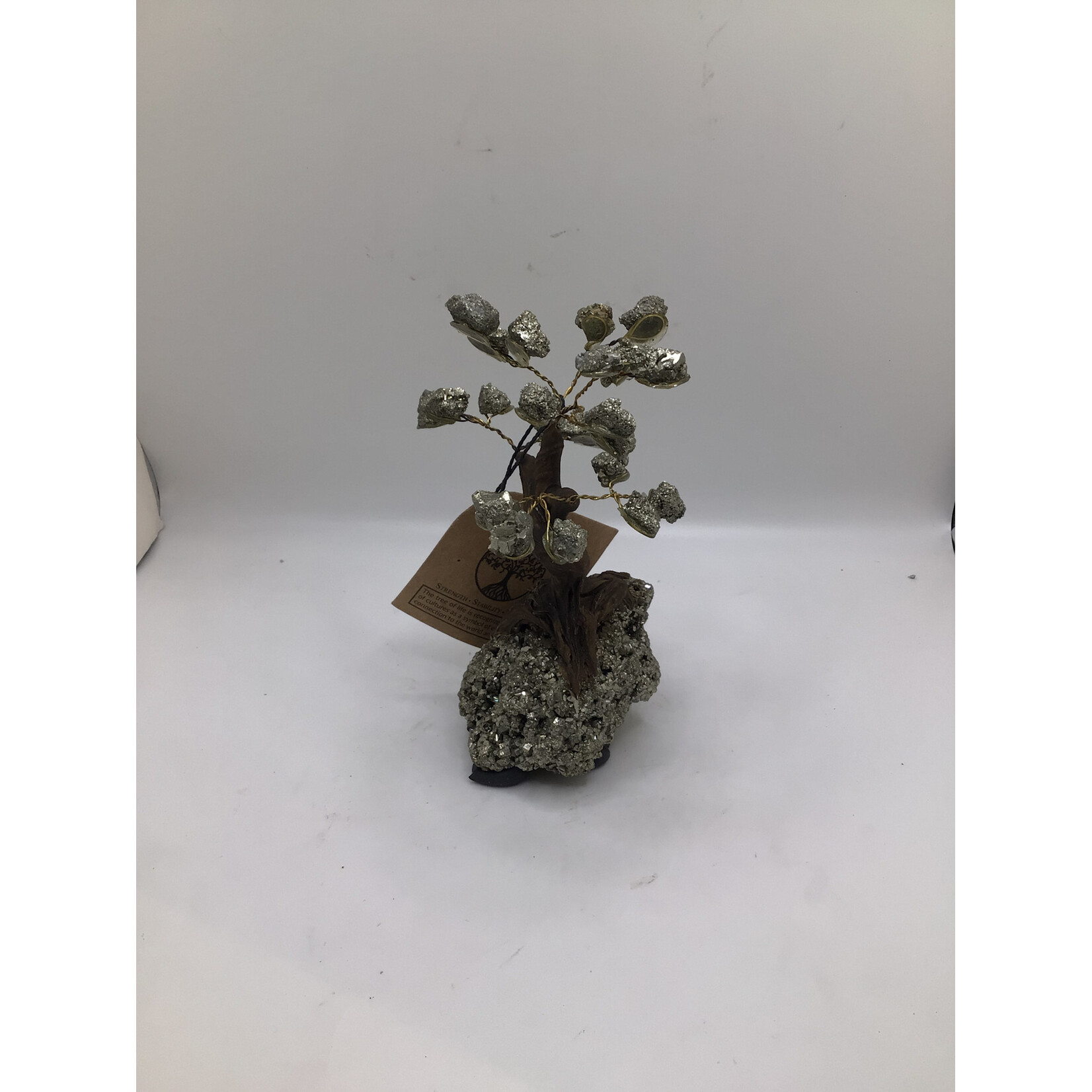 Small Bonsai Tree Rough