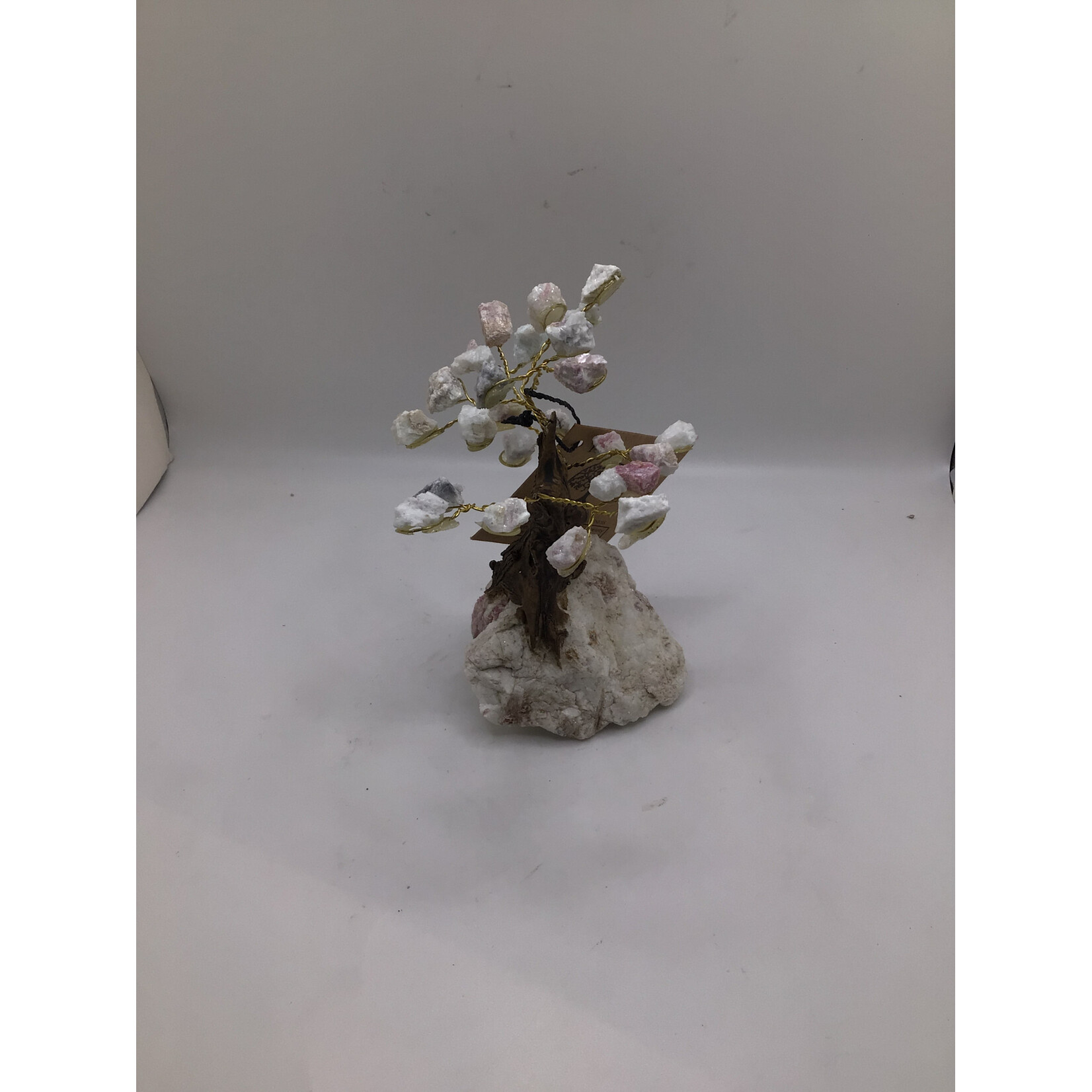 Small Bonsai Tree Rough