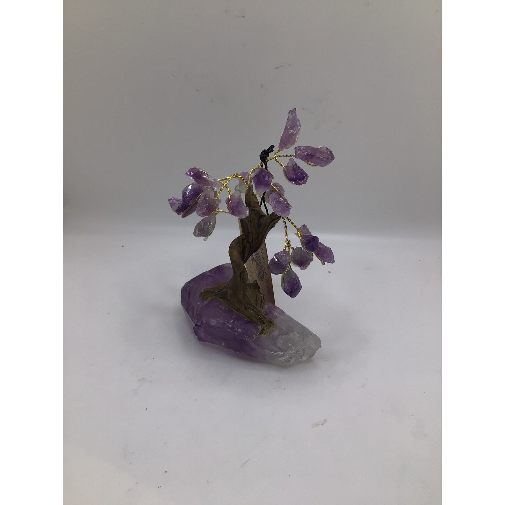 Small Bonsai Tree Rough