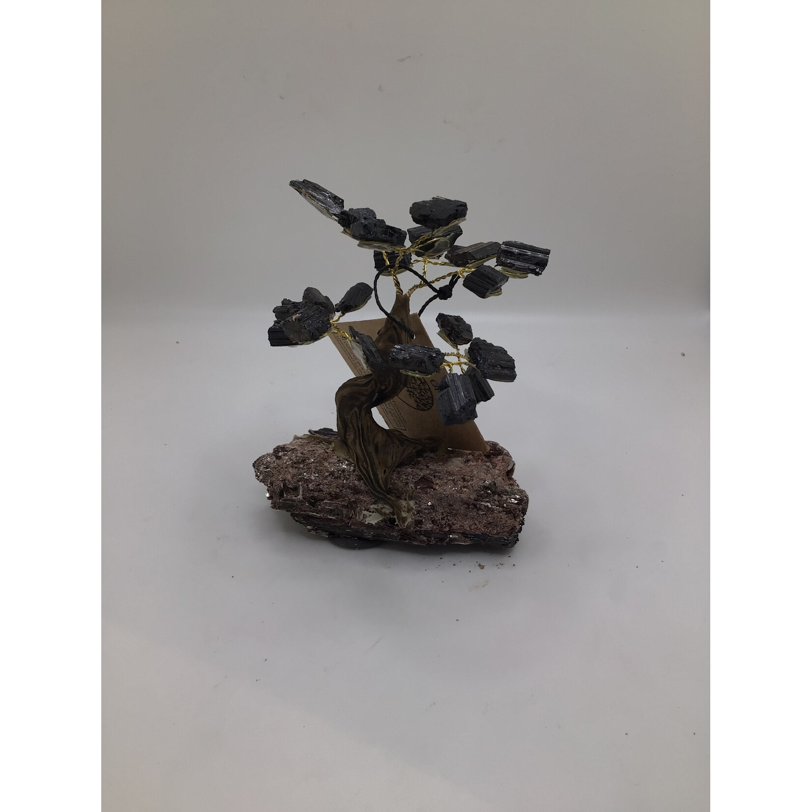 Small Bonsai Tree Rough