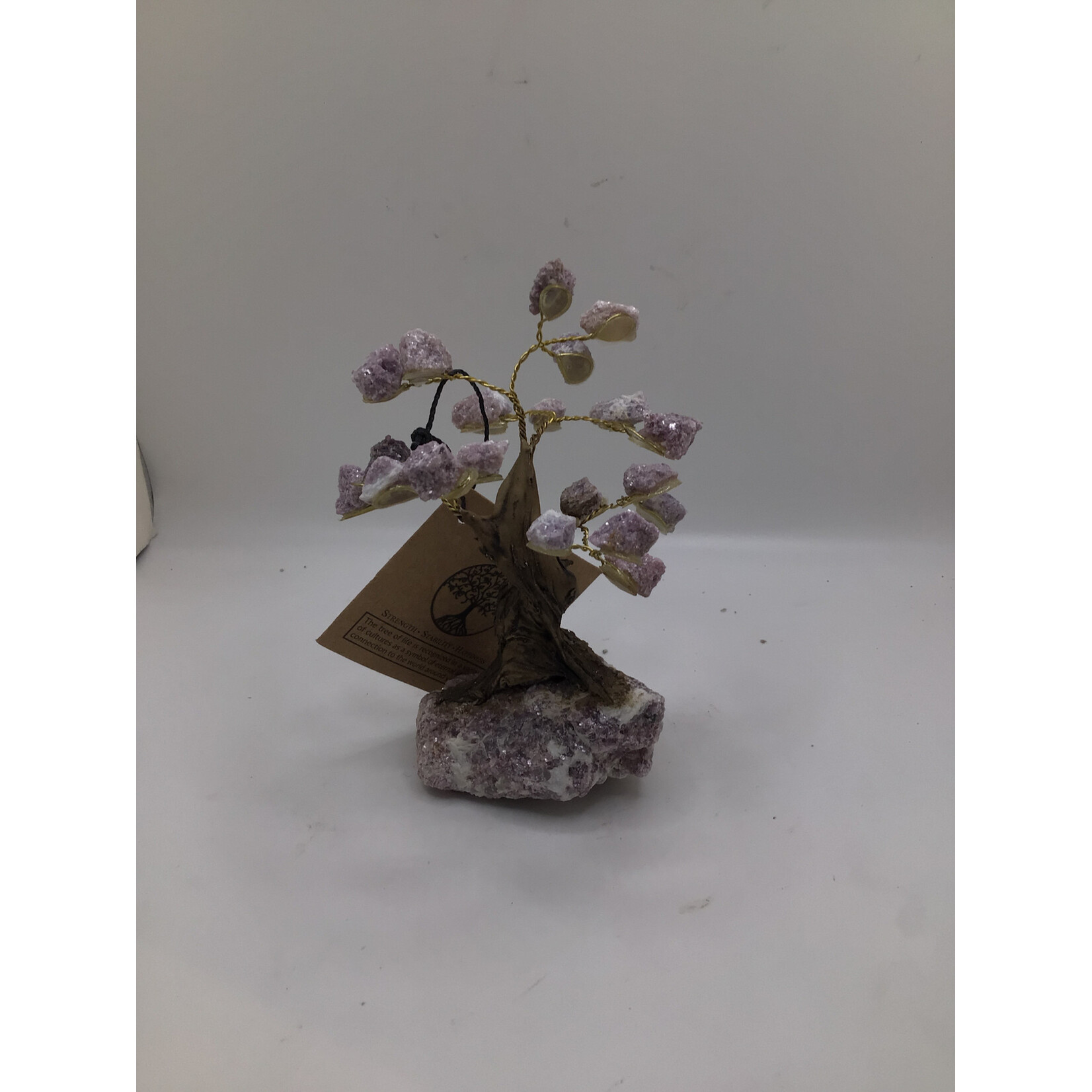 Small Bonsai Tree Rough