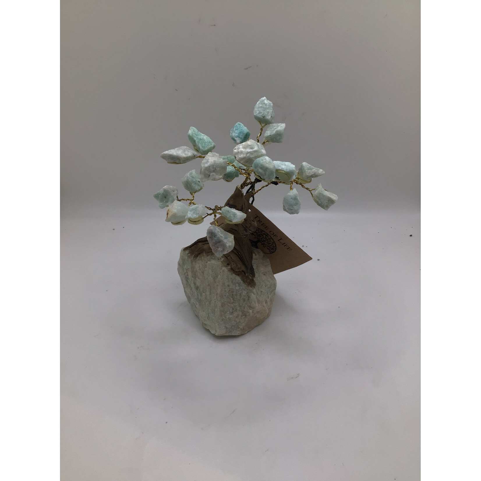 Small Bonsai Tree Rough