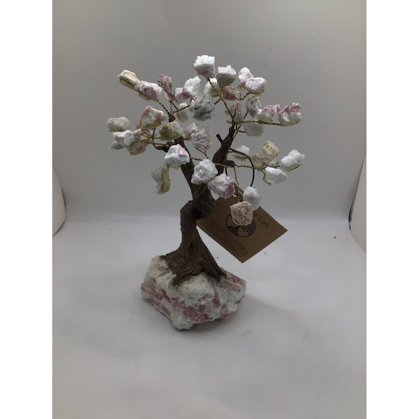 Large Bonsai Tree Rough