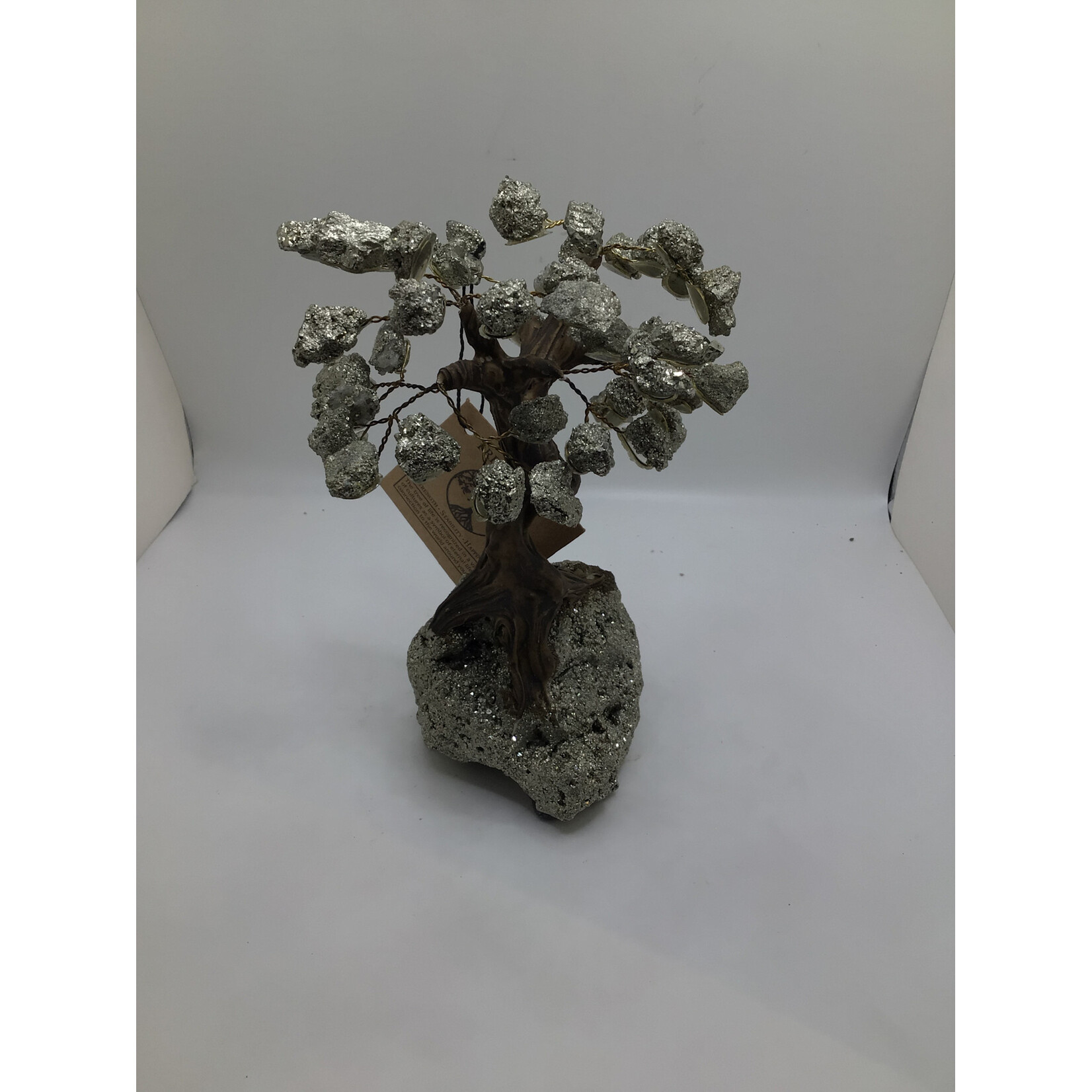 Large Bonsai Tree Rough