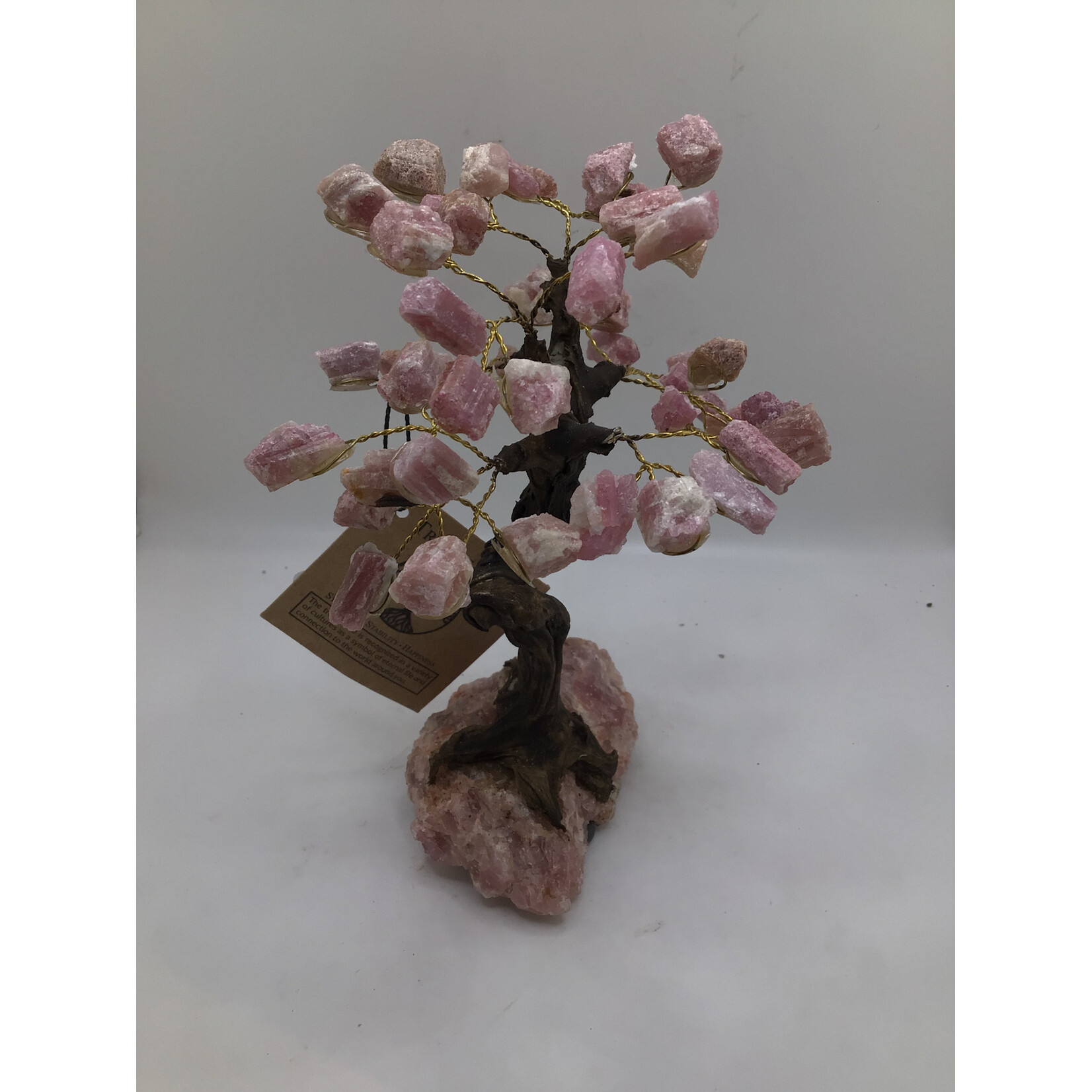 Large Bonsai Tree Rough