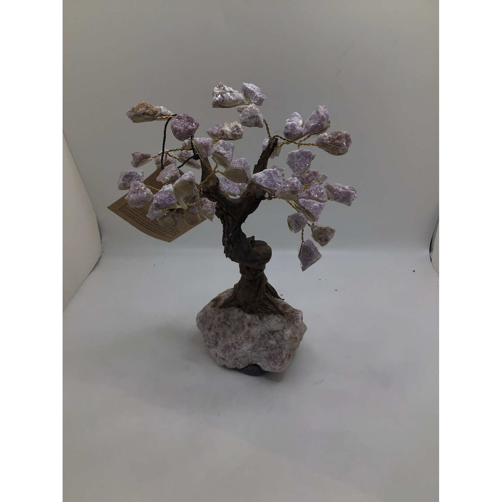 Large Bonsai Tree Rough