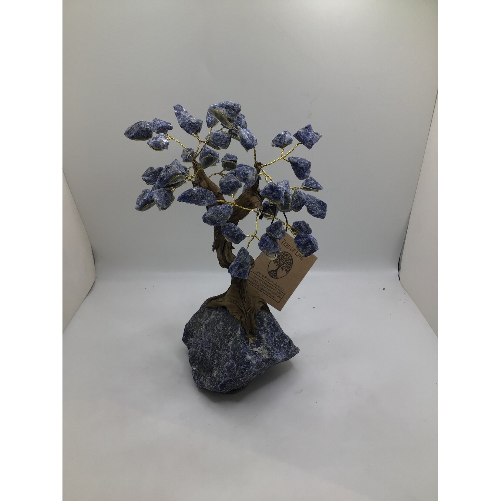 Large Bonsai Tree Rough