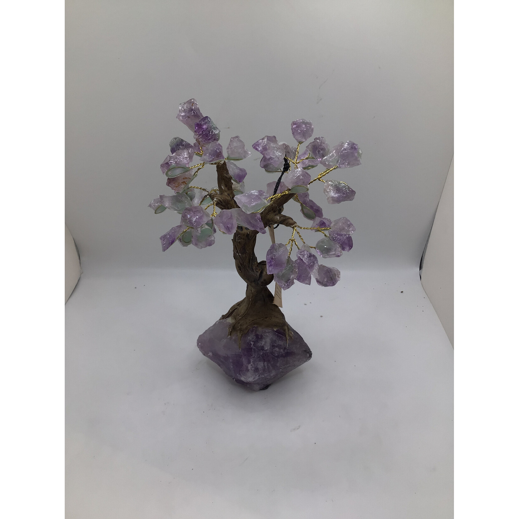 Large Bonsai Tree Rough