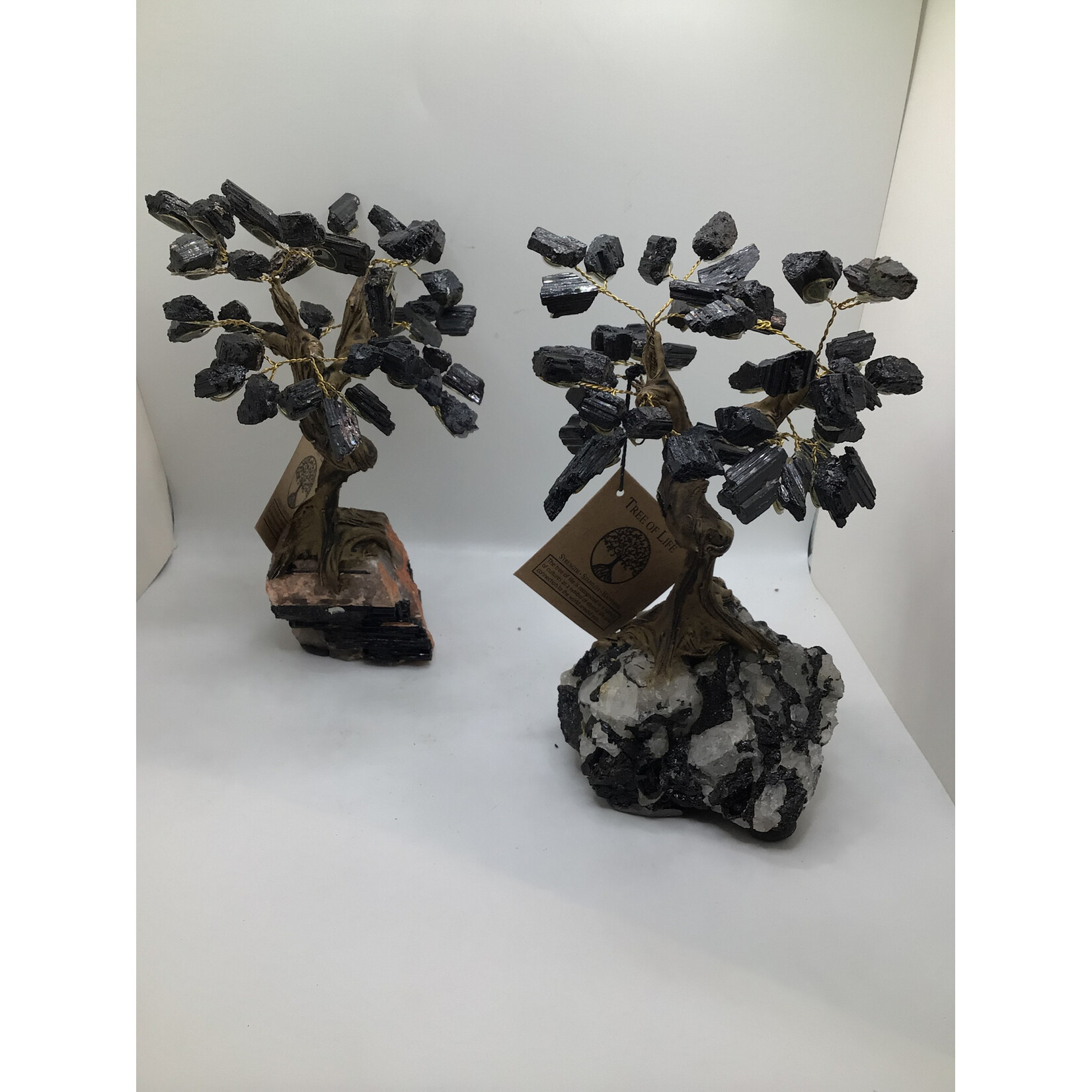 Large Bonsai Tree Rough