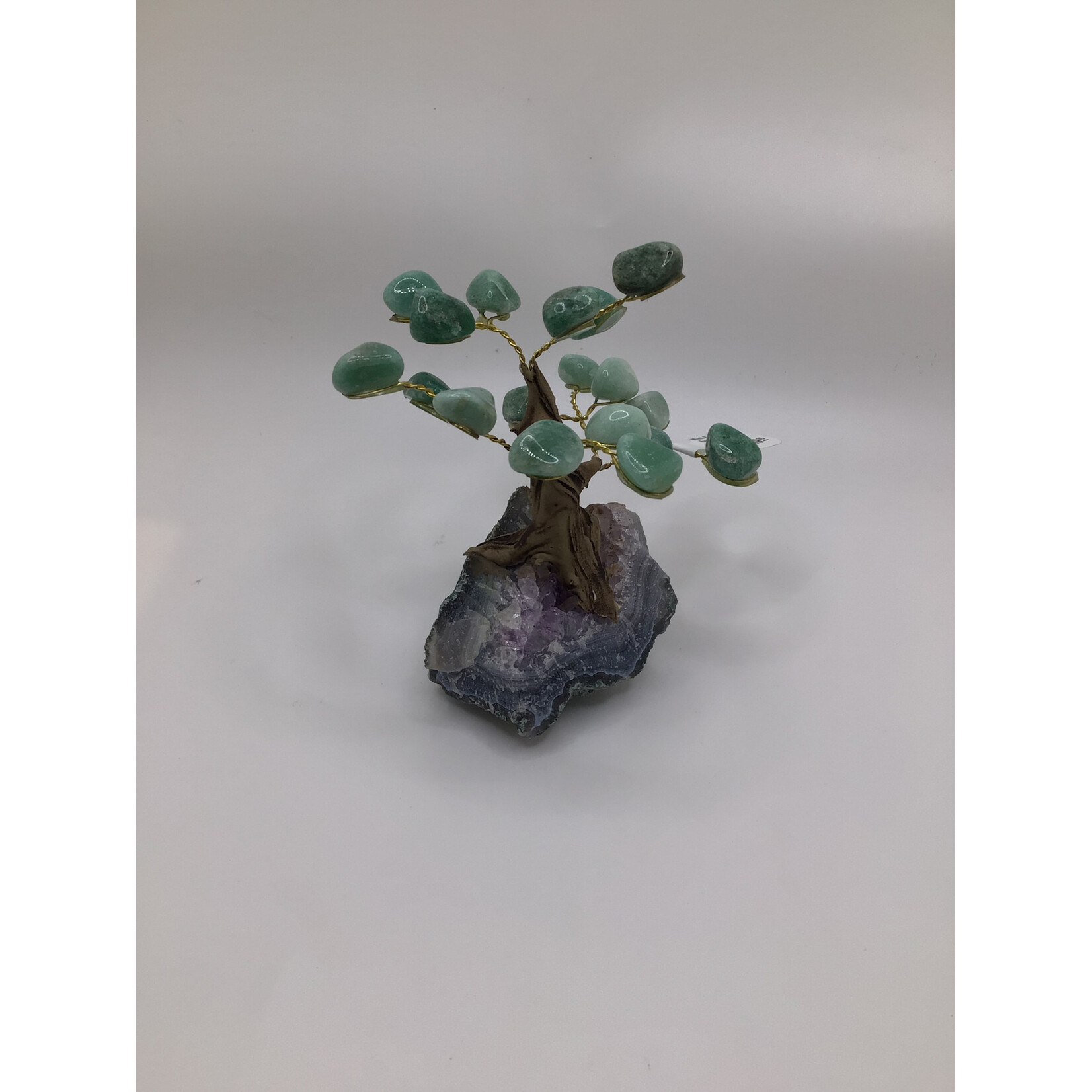 Mini Bonsai Tree