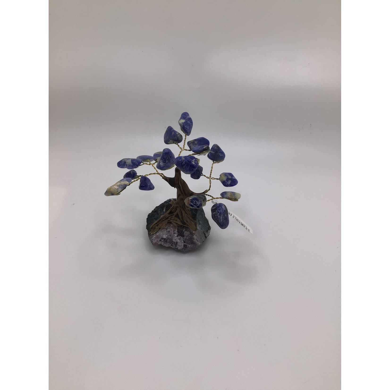 Mini Bonsai Tree