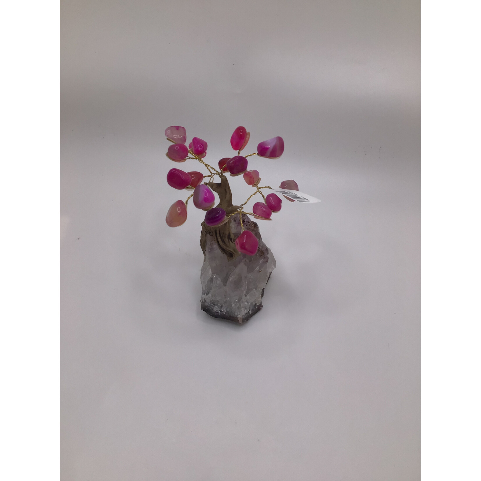 Mini Bonsai Tree