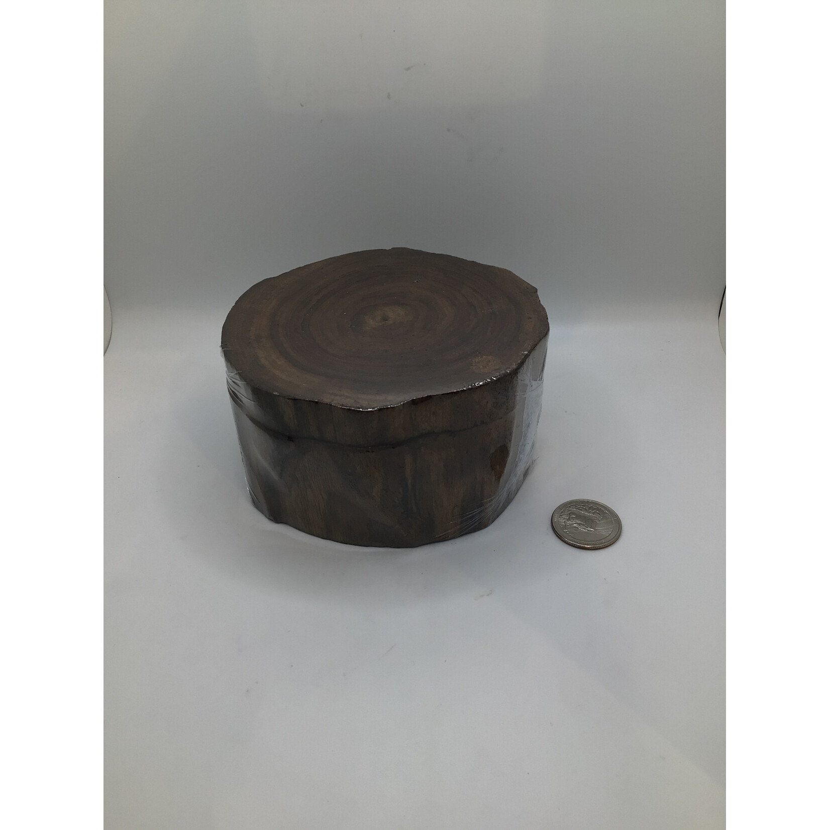 Large tree trunk boxes