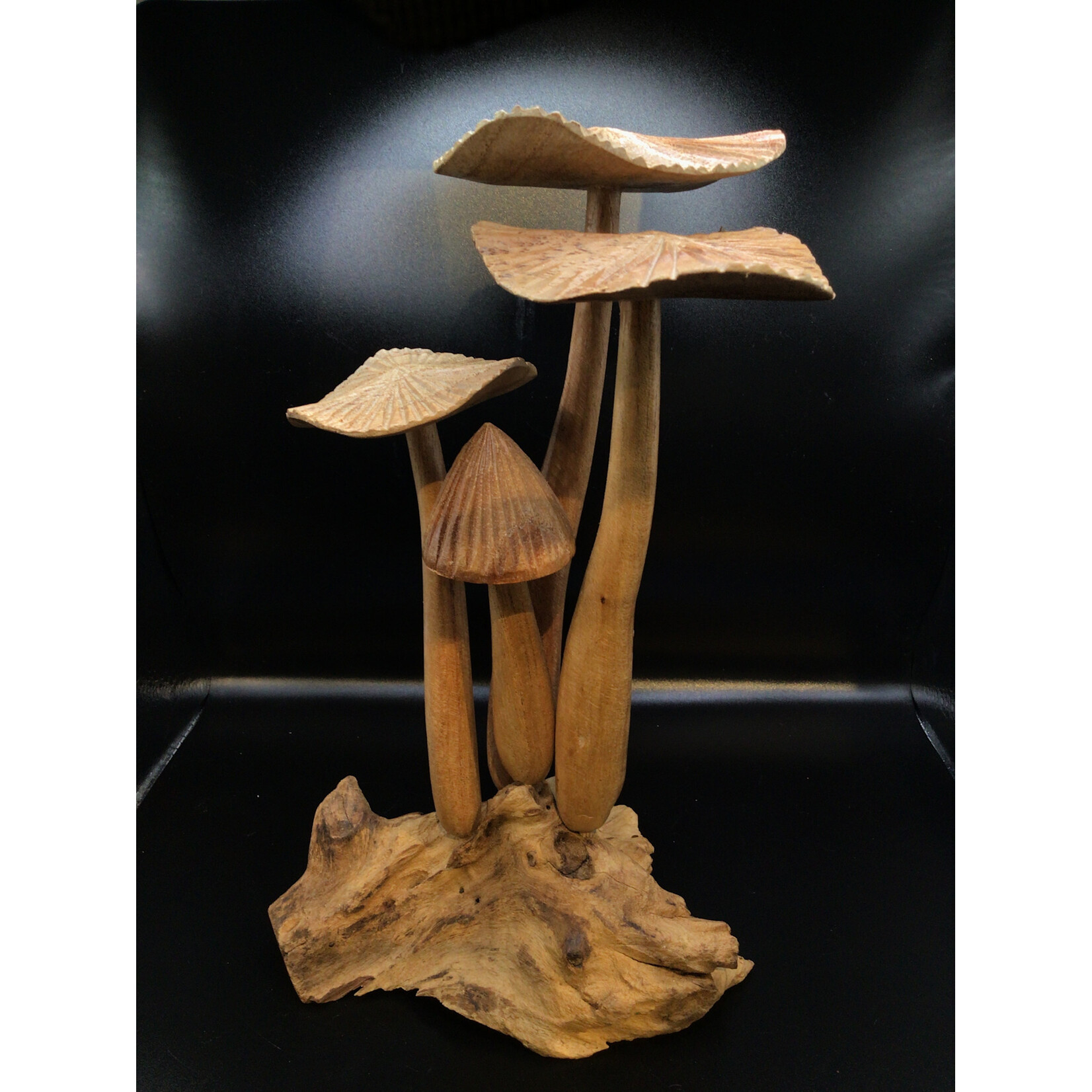 3 Flat 1 Smooth Cap on Root #33