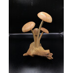 3 Smooth 1 Smooth Cap On Root #42