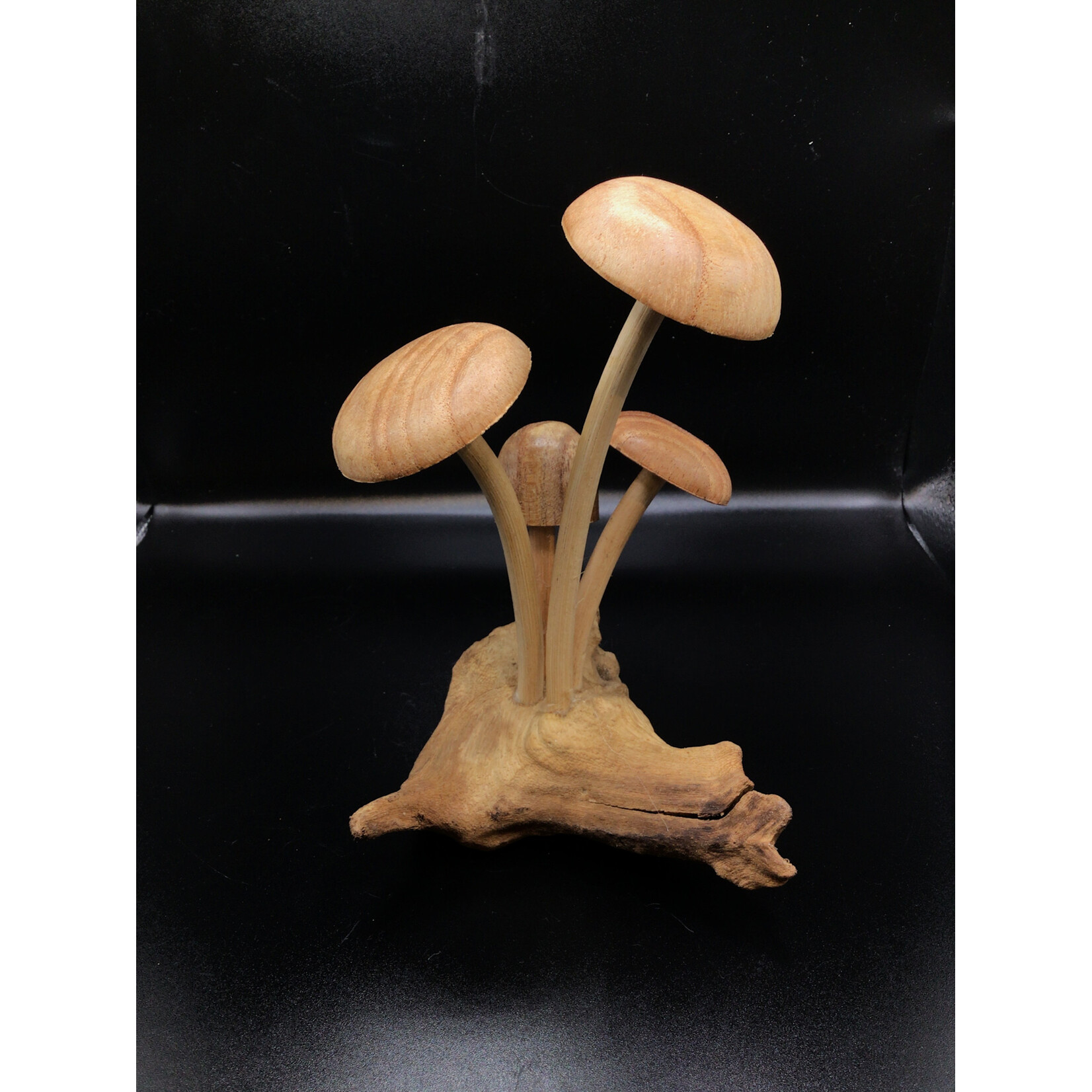 3 Smooth 1 Smooth Cap On Root #42