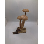 3 Round Top Mushroom on Root #30