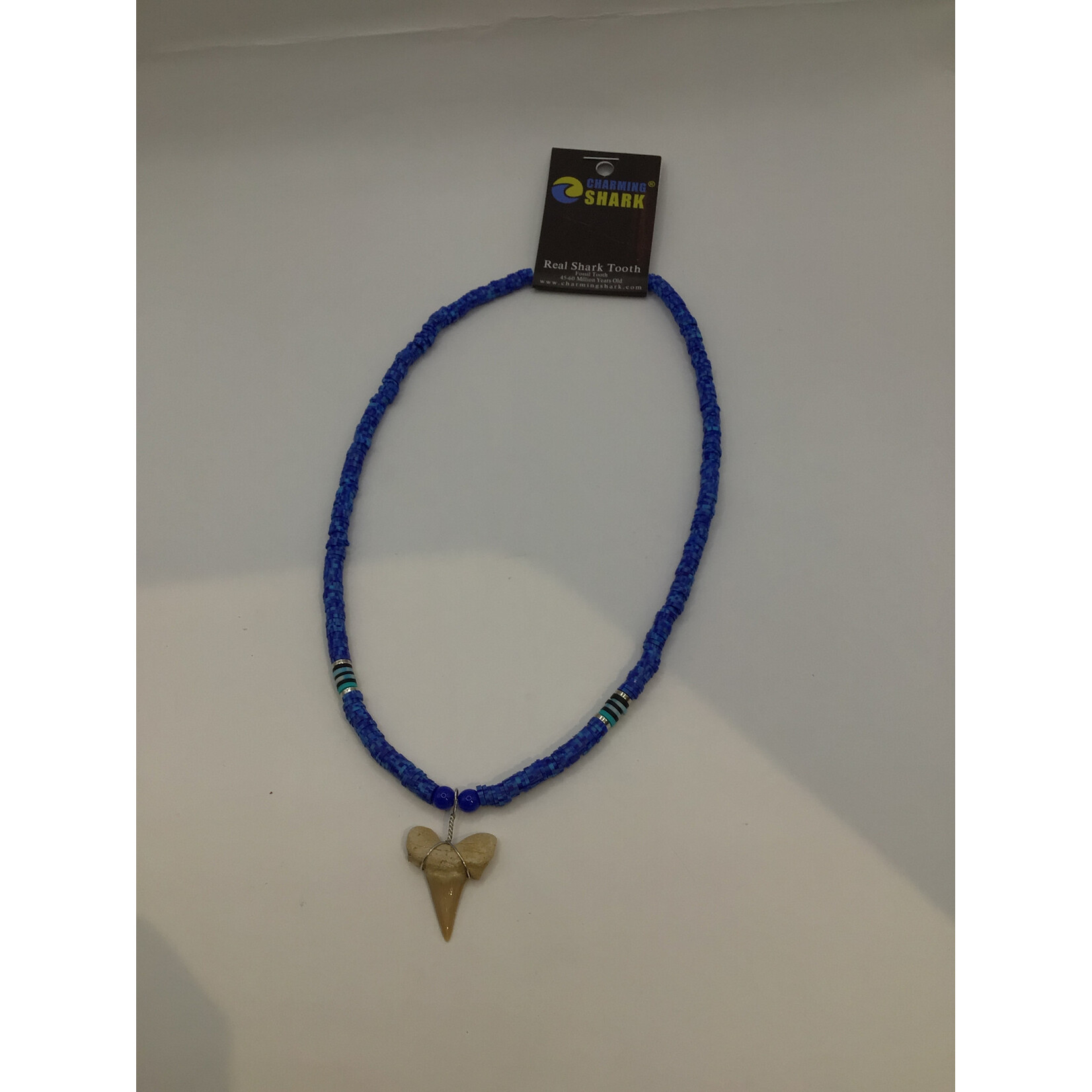 Blue Shark Tooth Necklace 8430