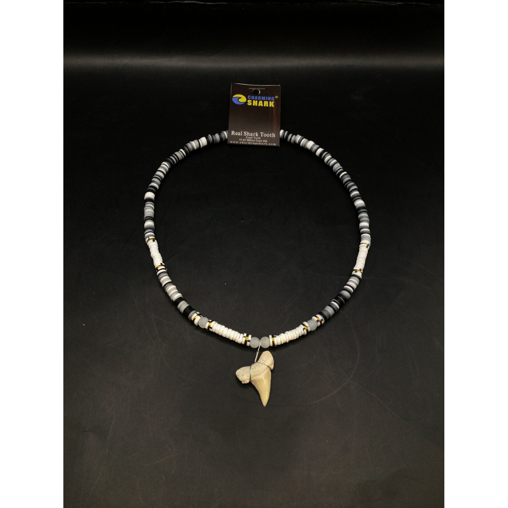 Wht/Blk Shark Tooth Necklace 2227