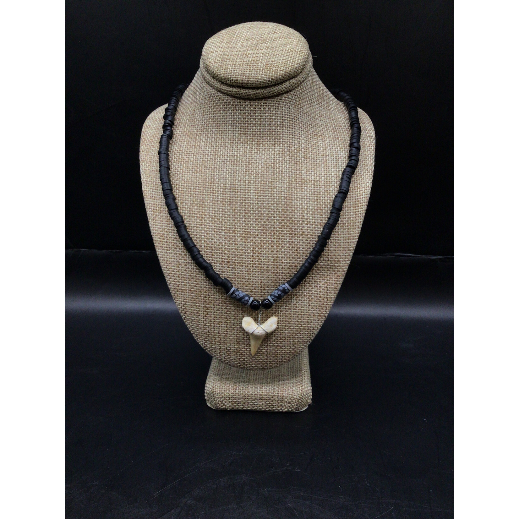Shark Tooth Necklace 881