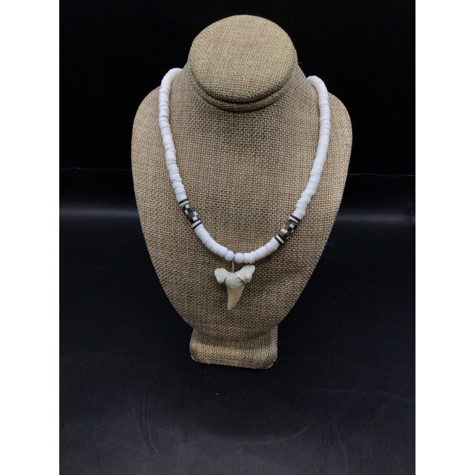 White Shark Tooth Necklace 645